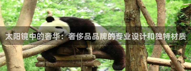 创亿娱乐d卧龙313322