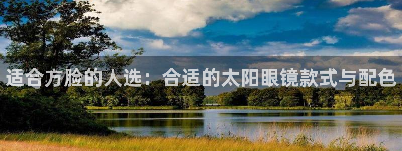 卧龙娱乐挂机软件