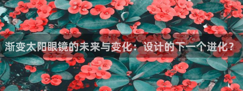 卧龙娱乐桐333OO