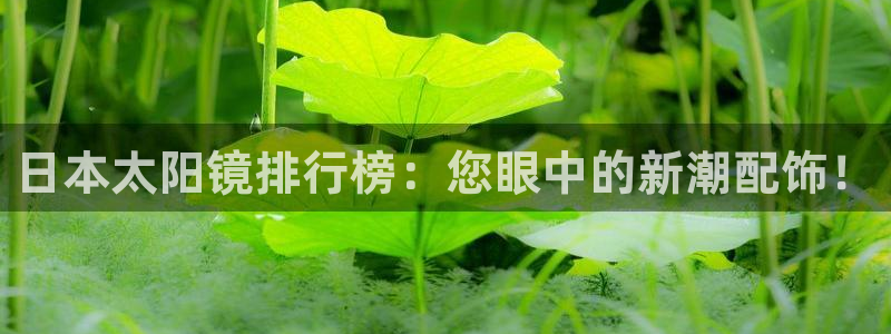 卧龙娱乐设备