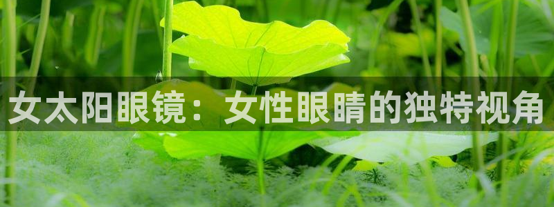 绥阳卧龙湖娱乐