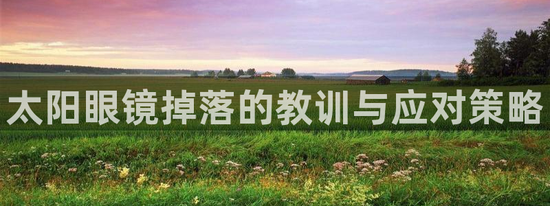 卧龙2神机娱乐代理