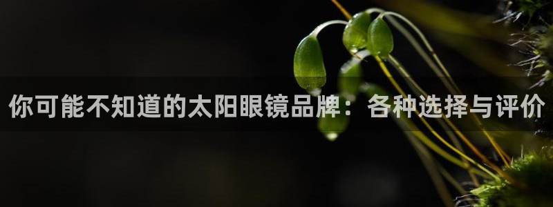 悉尼卧龙岗娱乐