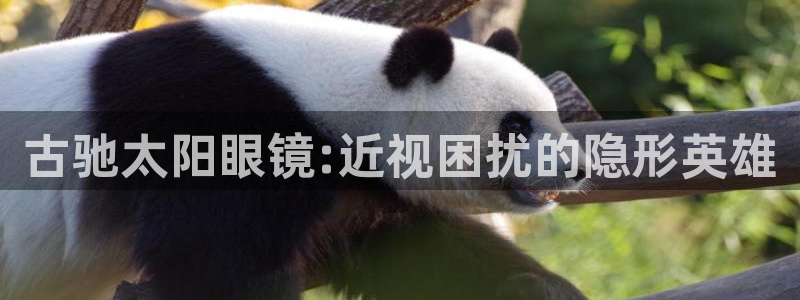 卧龙娱乐官网下载