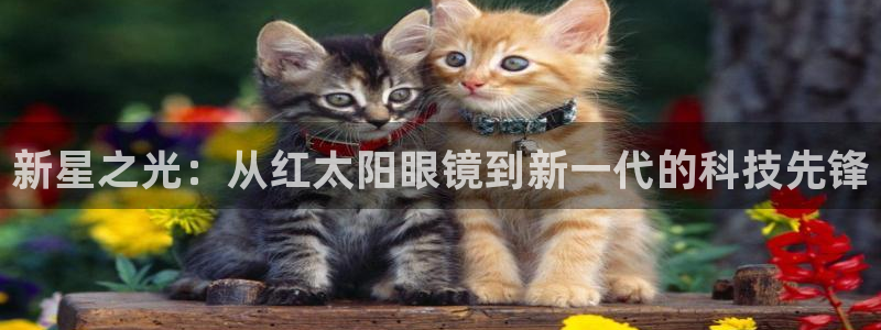 娱乐卧龙凤雏