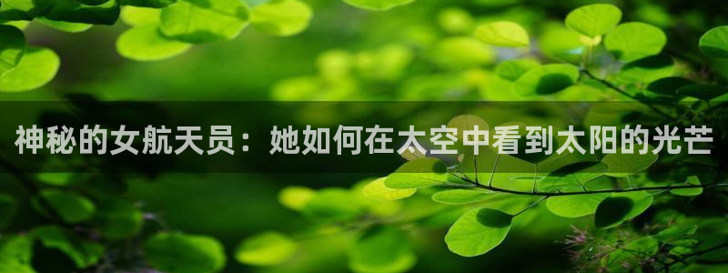 卧龙环岛儿童娱乐