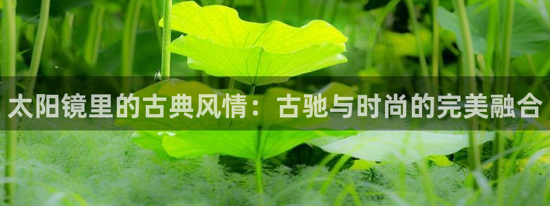 卧龙区娱乐设备