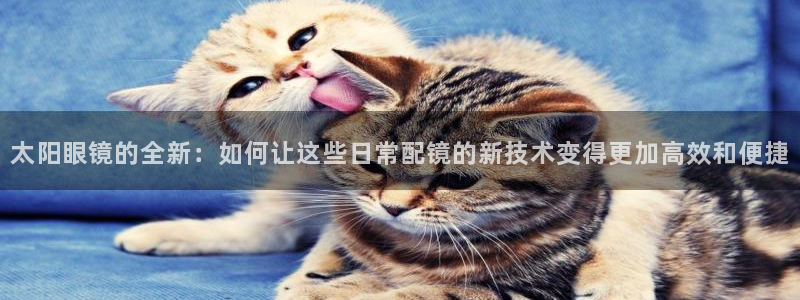 卧龙凤雏娱乐收入