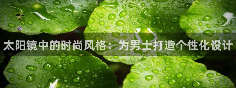 卧龙娱乐招商代理