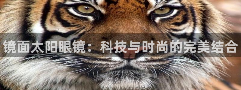 卧龙娱乐在线直播平台