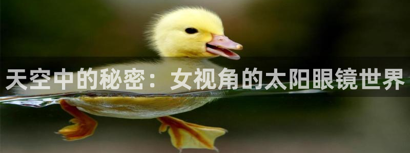 卧龙娱乐网址多少