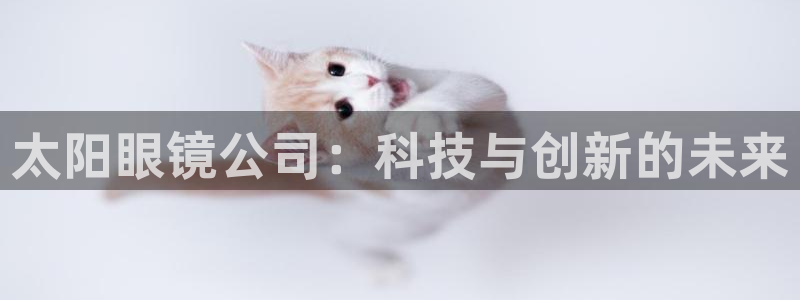 卧龙区娱乐会所