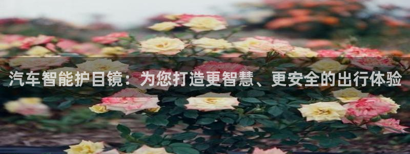 卧龙娱乐在线直播网