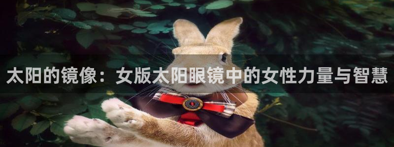 卧龙娱乐总代