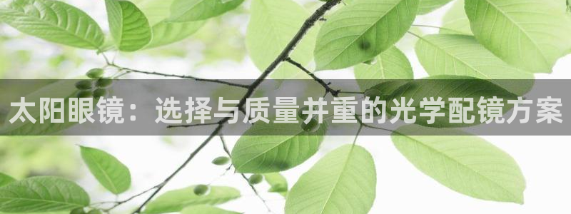 卧龙娱乐是什么