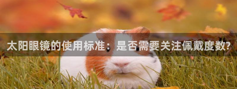 mvp娱乐 卧龙招商60447
