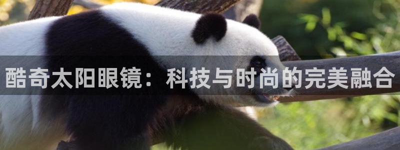 卧龙娱乐396667