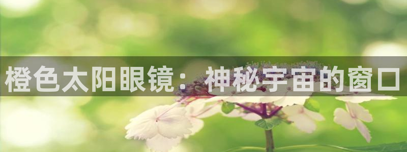 SKY娱乐 卧龙股东60447