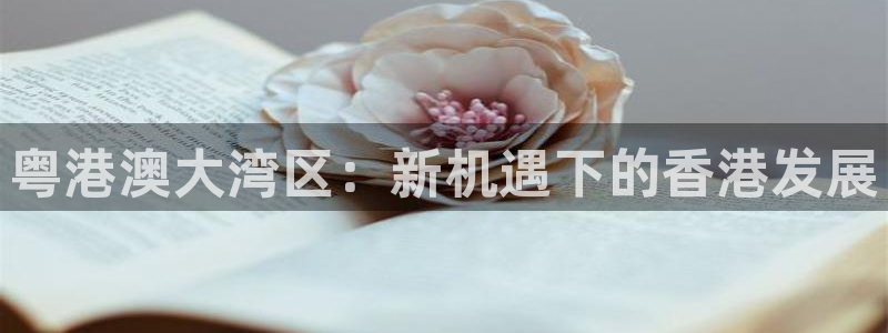 星鸿娱乐 0 47卧龙