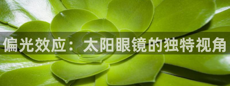 卧龙娱乐主管