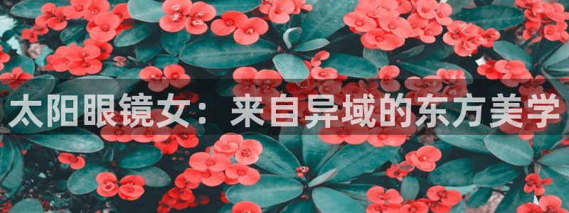 卧龙娱乐app彩票