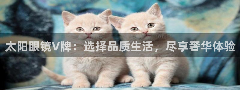 卧龙娱乐气垫项目投资