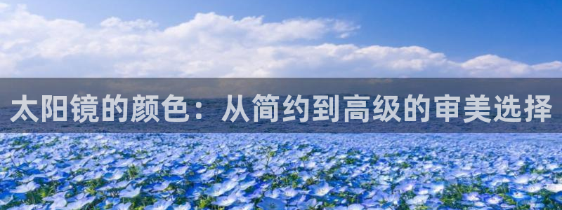卧龙儿童娱乐海洋球