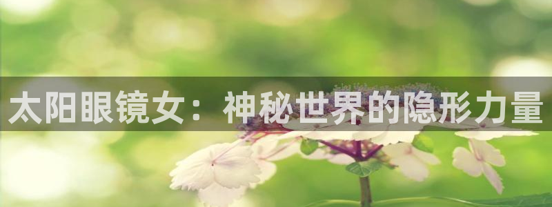 卧龙镇娱乐会所电话