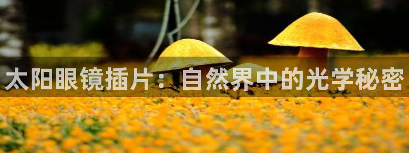 柏林娱乐- 0 7卧龙