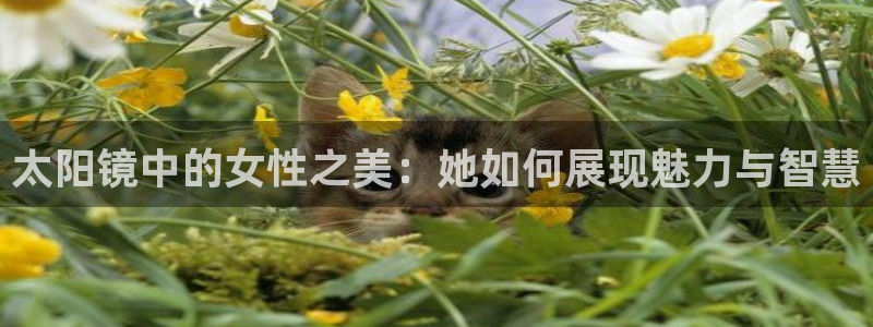 卧龙娱乐左7O667