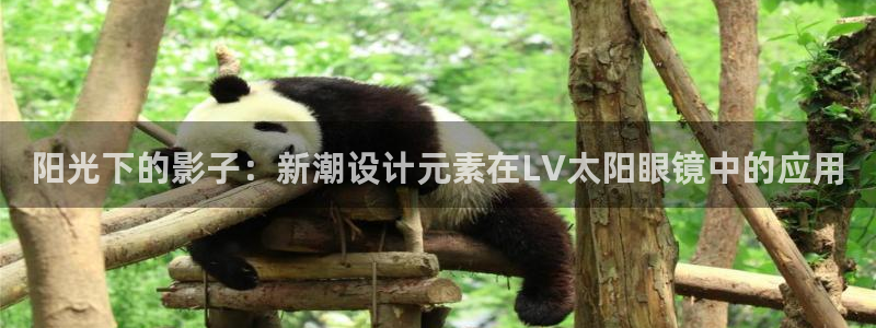 卧龙娱乐老板是谁
