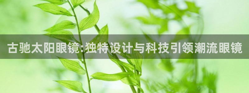 卧龙娱乐山西