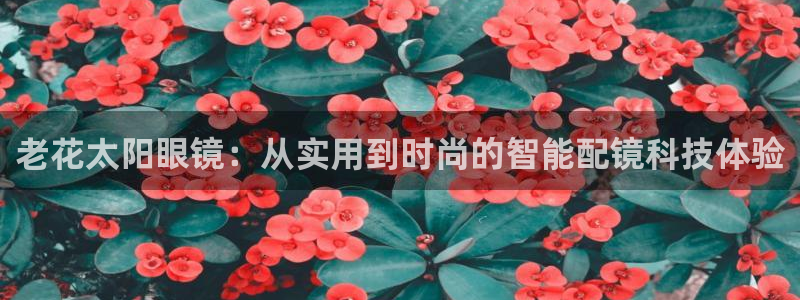 pt娱乐 卧龙招商60447