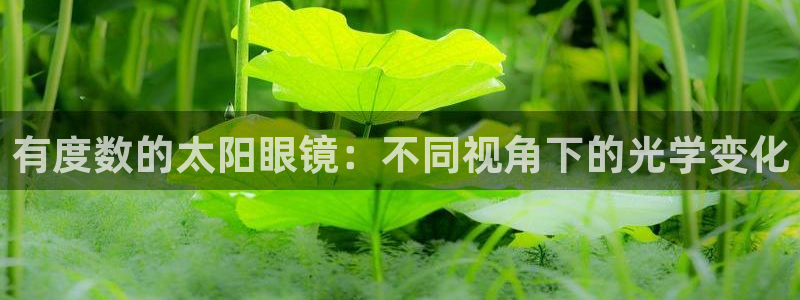 卧龙凤雏娱乐减肥