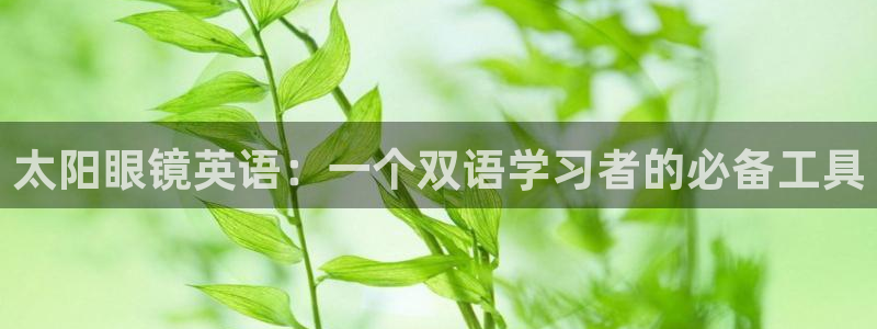 卧龙娱乐招商代理怎么样