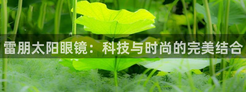 卧龙娱乐是真假吗