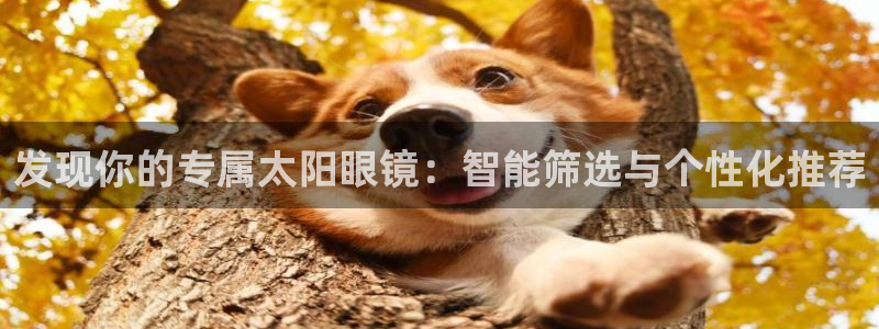 南阳卧龙站到尊上娱乐